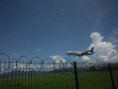 /album/galerie-de-photos-%3a-mon-amoureux-%c3%a0-mayotte/a1ier-jour-a-2-jpg1/